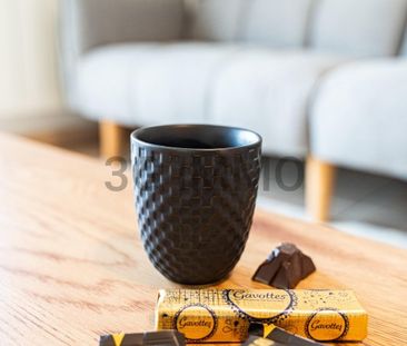 Location / Appartement T2 - Photo 4