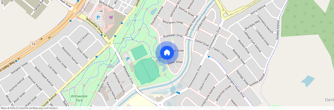 135 Passiflora Avenue, NSW 2565, Denham Court