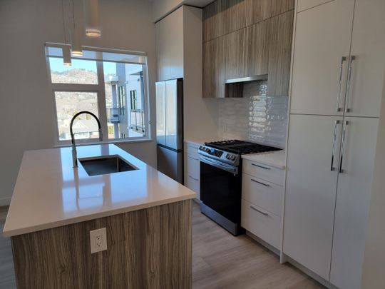 Downtown 2nd Floor Luxury 2 Bdrm * Pets - Photo 1