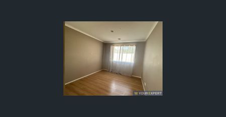 Spacious Four Bedroom Plus Study Family Home - Photo 3