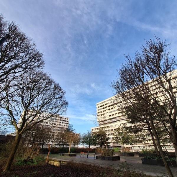 Appartement T3 à louer - 53 m² - Photo 1