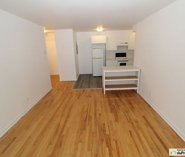 3 1/2-4444, boulevard LaSalle, LaSalle à louer - Photo 5