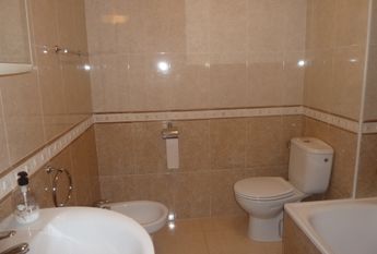 53 Tulipan – Id. 393