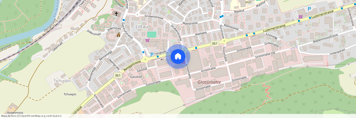 Grossmatte 2 G, 6014 Luzern