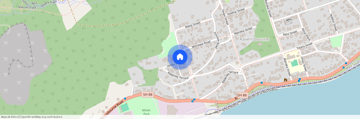 6 Hinau Street, Dunedin