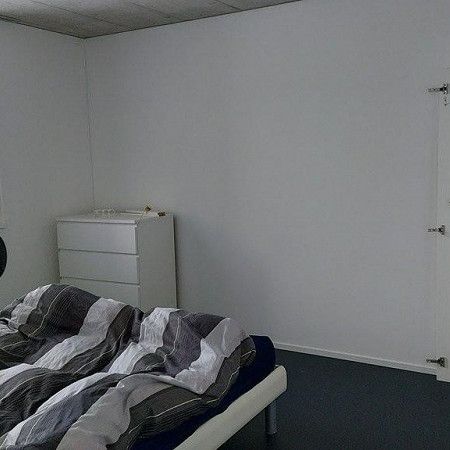 Traumhafte Wohnung in Birmensdorf zu vermieten! - Photo 1