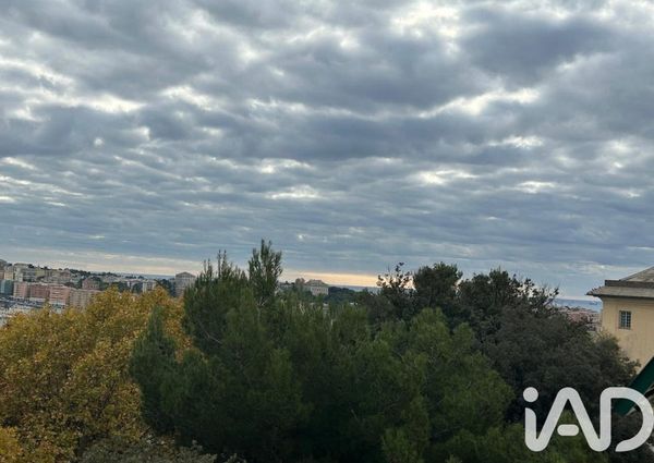 Piazza dello zerbino, Genova, Liguria 16122