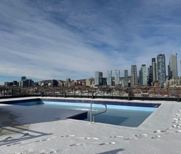 Appartement à louer - Montréal (Le Sud-Ouest) (Griffintown) - Photo 5