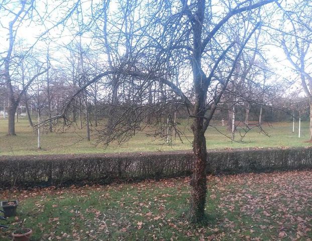 Suche 1.5./2 Zimmer Wohnung - Foto 1