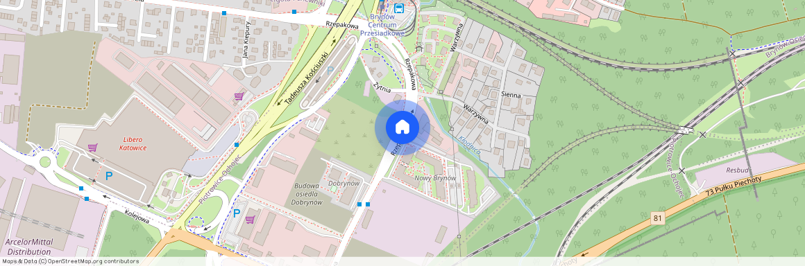 ul. Rzepakowa, Piotrowice-Ochojec, Katowice, śląskie