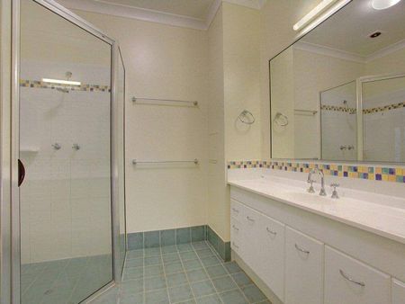 STYLISH APARTMENT WITH BUSH AND RIVER VIEWS FROM YOUR BALCONY! - Photo 3