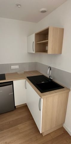 A louer Brest Rive Gauche-Penfeld- proche facs T1 neuf - Photo 1