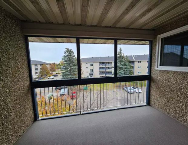 RENOVATED Millwoods 1 Bedroom Available Immediately | 2624 Mill Woods Road East, Edmonton - Photo 1