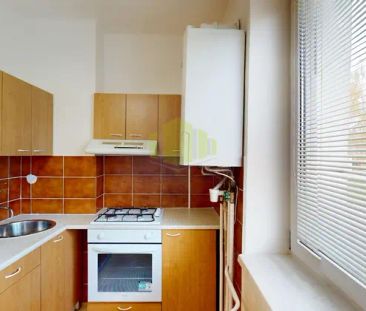 Pronájem útulného bytu 3+1 o ploše 60 m - Fotografie 4