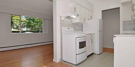 Pet Friendly Spacious Bright 1 bedroom available Feb 1! - Photo 2