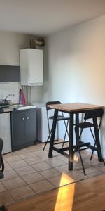 Location Appartement 1 pièce 22m² CHALON SUR SAONE 71100 - Photo 3