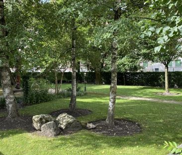 Bel appartement meublé de 4 pièces à Carouge (Genève) - Photo 5