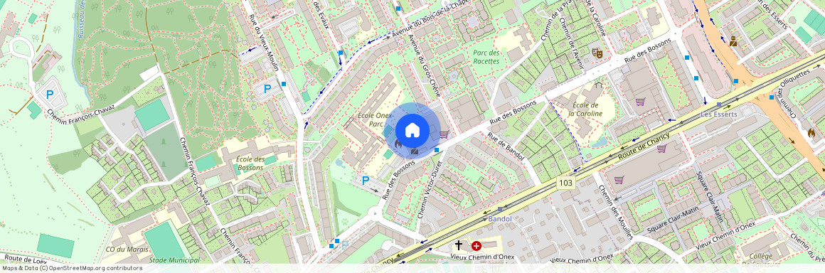 Rue des Bossons 13, Onex