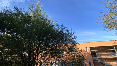 Gemütliche, neu renovierte 3-Zimmer-Wohnung in zentrumsnaher Lage - Photo 5