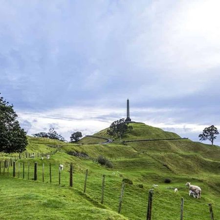 Sunny 2.5 bedroom with office & garage - Photo 4