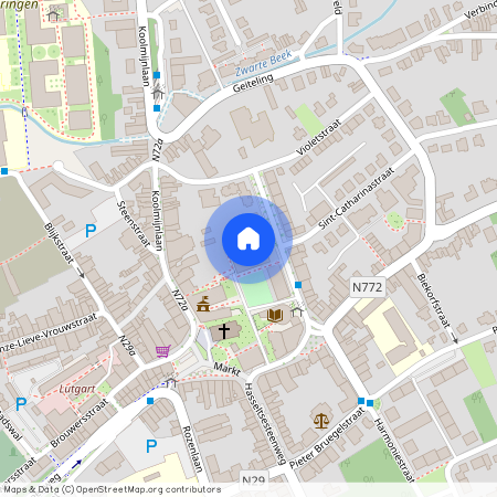 Graaf Van Loonstraat, 12 12, A1, 3580, Beringen