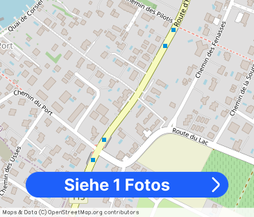 Exceptional Villa in Corsier - Lake View, Spacious, Garden & Pool - Foto 1