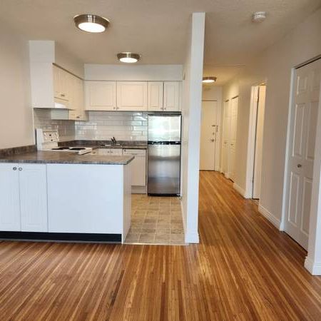 Large Cat Friendly Studio Unit With Laundry Steps From Commercial Dr - Photo 4