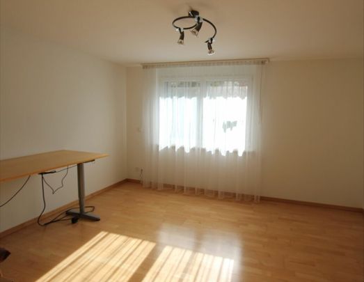 Modernes 5.5-Zimmer-Einfamilienhaus mit Garten - Foto 1