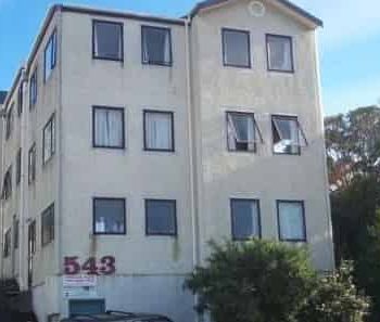 Spacious Sunny 6BR Dunedin Delight - Photo 2