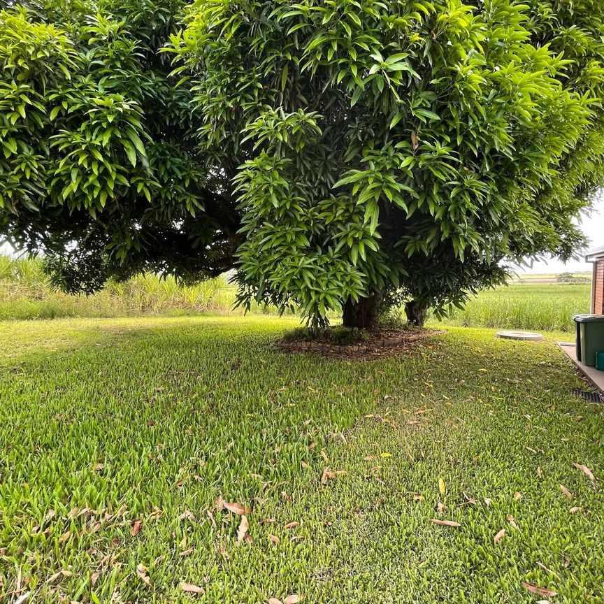 RURAL LIFESTYLE CLOSE TO TOWN - Photo 1