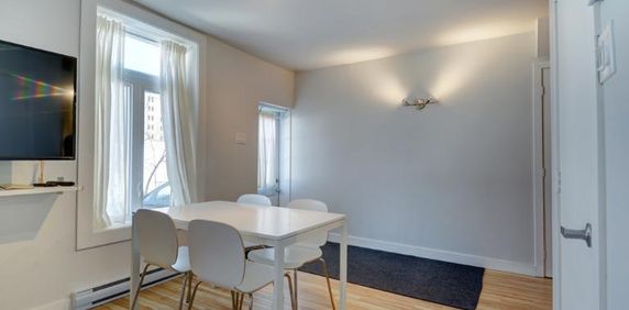 3 ½ entièrement meublé à louer Saint-Jean-Baptiste juillet 2026 - Photo 2