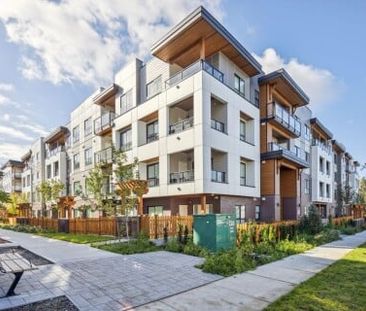 2 Bedroom Condo in Langley - Photo 4