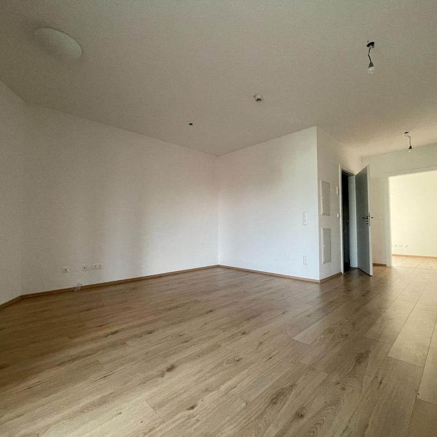 Generationswohnhaus Vinzenz Muchitsch Straße, 2 Zimmerwohnung TOP 22, [GF,ViMu] - Foto 1