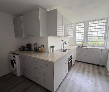 Ducos - Appartement - Chambre en colocation - Photo 3