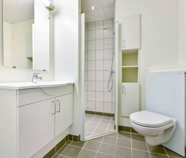 Revlingbakken - Photo 6