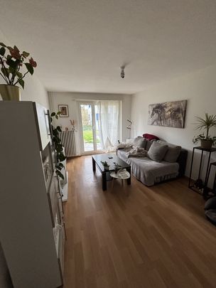 3 Zimmer, 57 m², EG - Foto 1