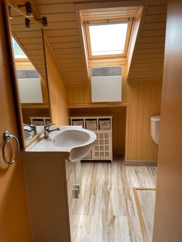 Location Appartement 1 pièce 34m² REMIREMONT 88200 - Photo 5