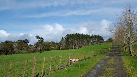 Property Management400 Waitakere Rd, Taupaki - House for Rent - Photo 5