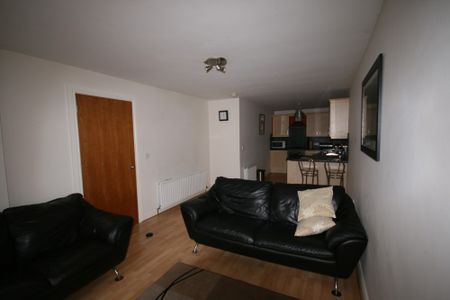 14 Annadale Mews, Belfast, BT7 3LR - Photo 5