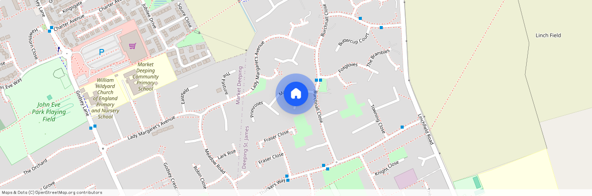 Bluebells, Peterborough