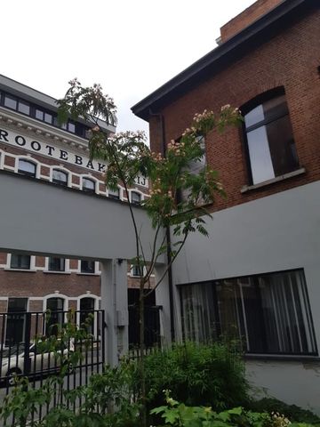 Loft te huur - Photo 2