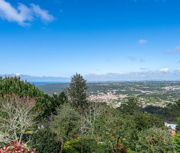 MORADIA T1 NO PENEDO , COLARES - SINTRA - RETREAT HOME - Photo 6