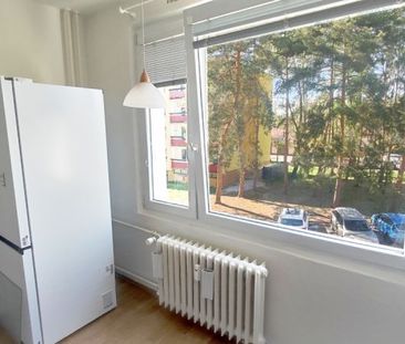 Pronájem bytu 3+1 80 m², Hradec Králové - Fotografie 5