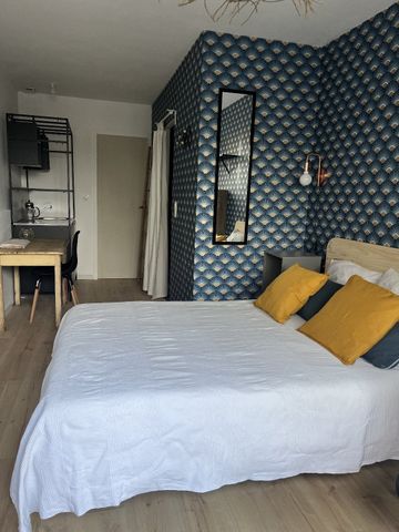 Location Appartement 1 pièce 16m² PESSAC 33600 - Photo 3