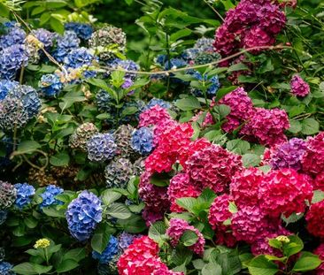 Architecturale villa op toplocatie - Photo 3