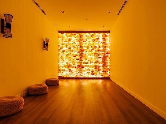 Le George Apartments Lucien L'Allier downtown Montreal | Appartements Le George Lucien L’Allier centre-ville de Montr - Photo 1