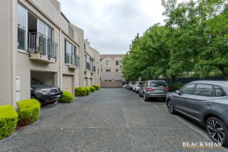 8 Bluebell Street, O'Connor ACT 2602 - House For Rent | Domain - Photo 5