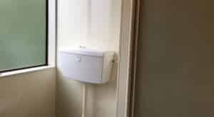 Spacious Sunny 6BR Dunedin Delight - Photo 5