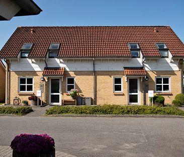 Tranebærvej, 13, 8850, Bjerringbro - Photo 1