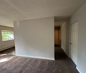 SPACIOUS 2 Bedroom APARTMENT!! GREAT LOCATION Downtown!!! - Photo 2